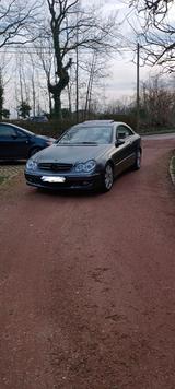 Mercedes-Benz Mercedes CLK 350 Elegance - Mercedes-Benz CLK 350: Coupe