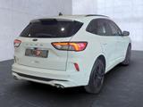 Ford Kuga ST-Line X Automatik Allrad Sportpaket Navi - Ford: Sport