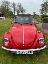 Volkswagen Käfer - Volkswagen: Cabrio, Kaefer