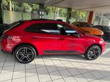 Porsche Macan - Porsche Macan in Bochum