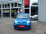 Fiat New Panda Mild Hybrid - Fiat New Panda Tageszulassungen