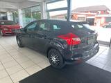 Ford Focus Lim. Champions Edition - Ford Focus: Champions Edition