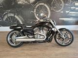 Harley-Davidson V-Rod Muscle VRSCF inkl. Jekill & Hyde - HARLEY-DAVIDSON V ROD MUSCLE