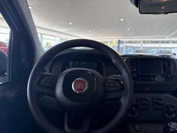 Bild 14 Fiat Panda 1.0 Mild Hybrid DAB Spurhalteass. Verkehrs
