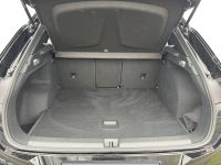 Cupra Terramar - Vorschau Bild 6