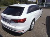 Audi A4 Avant 40 TDI sport S-Tronic Pano/Navi/Xenon - Audi Gebrauchtwagen in Neumünster