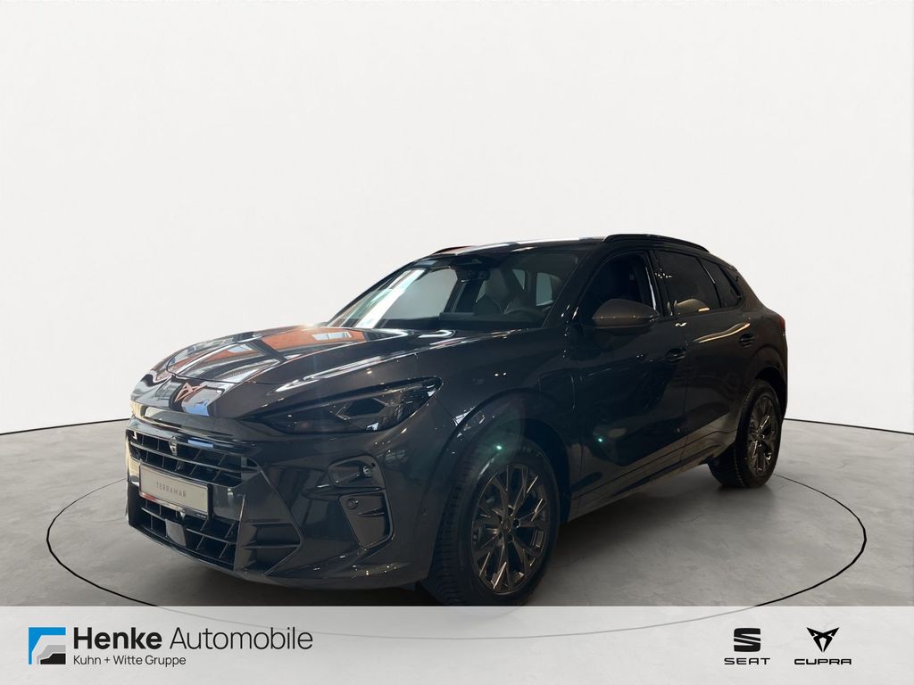 Image of Cupra Terramar