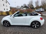 Volkswagen New Beetle Cabrio Top gepflegt - Volkswagen New Beetle: Cabrio