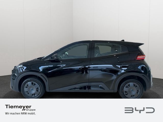 BYD DOLPHIN SURF