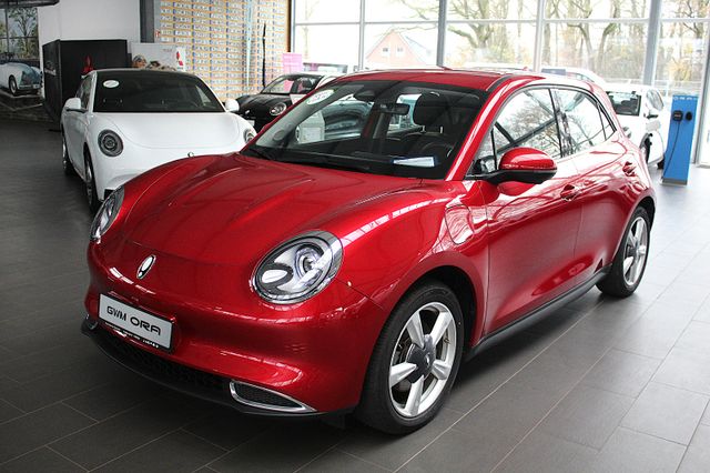 Fotografie des GWM Ora 03