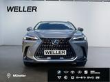 Lexus NX 450h+ E-FOUR Executive Line *LED*AHK*360°*ACC - silberne Lexus NX 450h