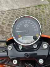 Harley-Davidson Street Rod Scrambler Umbau - HARLEY-DAVIDSON STREET ROD