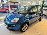 Fiat Panda Base / Klima, Radio, elektr. FH vorn, Blue - Fiat Panda in Chemnitz