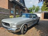 Ford Mustang - Ford Mustang aus 1966