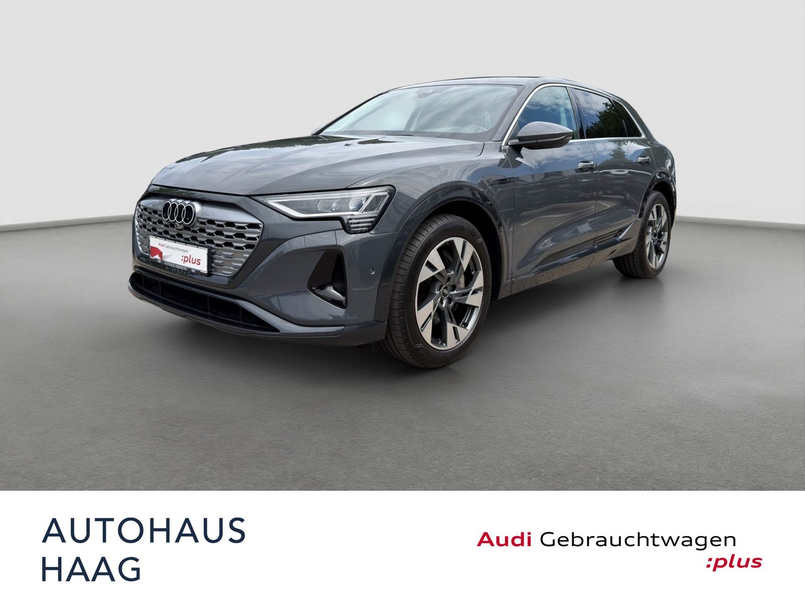 Audi Q8 e-tron 50 advanced qu Kamera AHK ACC LED