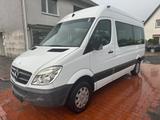 Mercedes-Benz Sprinter Kombi CDI Aut. 9Sitzer Rollstuhllift - gebrauchte Mercedes-Benz Sprinter aus dem Jahr 2010