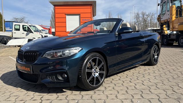 BMW 228i xDrive Cabrio LED Navi Leder PDC Kamera