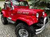Jeep Wrangler 6 Zylinder, 4 Liter Oldtimer... - Jeep aus 1991