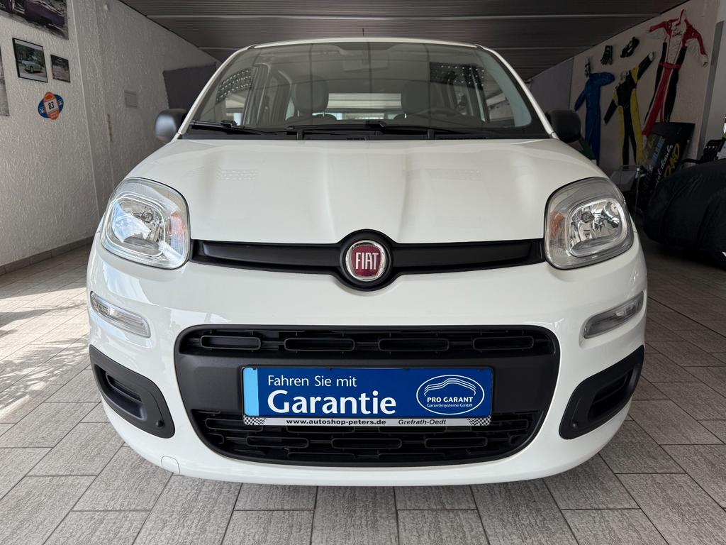 Fiat New Panda