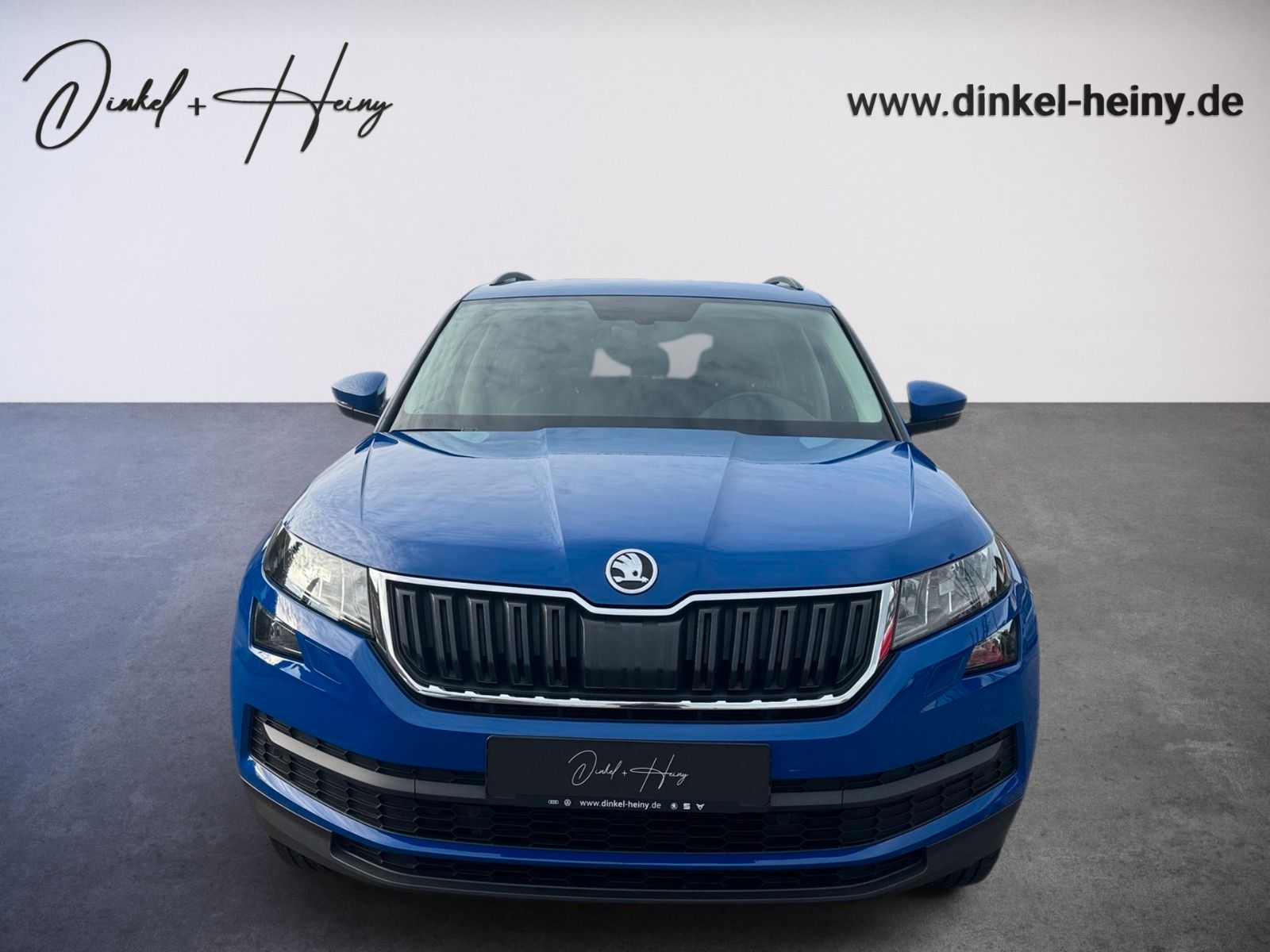 Fahrzeugabbildung SKODA Kodiaq Ambition 1.5 TSI