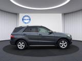 Mercedes-Benz ML 350  CDI BlueTec*LED*LEDER*PANO*AHK* - Mercedes-Benz ML 350 in Duisburg