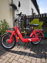 Piaggio Ciao PX - PIAGGIO CIAO