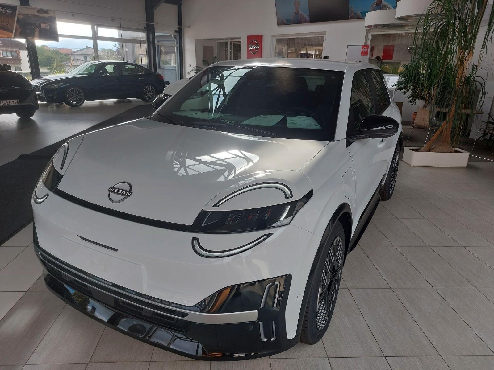 Nissan Micra 40 KW/h Advance, Winter-Paket