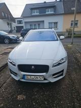 Jaguar XF 25t AWD 250PS Portfolio Automatik Portfolio - Jaguar XF: Portfolio