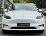 Tesla Model Y Long Range 19" AHK VAT - Tesla Model Y aus 2021
