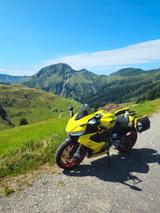 Aprilia RS 660 - APRILIA GOLD
