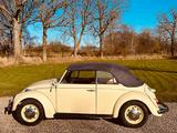 Volkswagen VW Käfer Cabrio - aus 1969: Cabrio