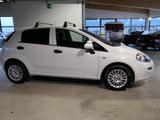 Fiat FIAT Punto 1.4 3 porte Van Easy 4P + IVA - Fiat Punto: Easy