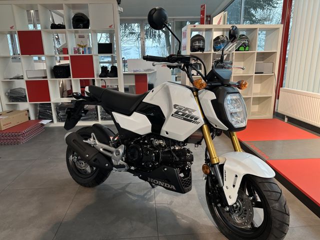 Honda MSX 125 Grom 2025   Sofort verfügbar