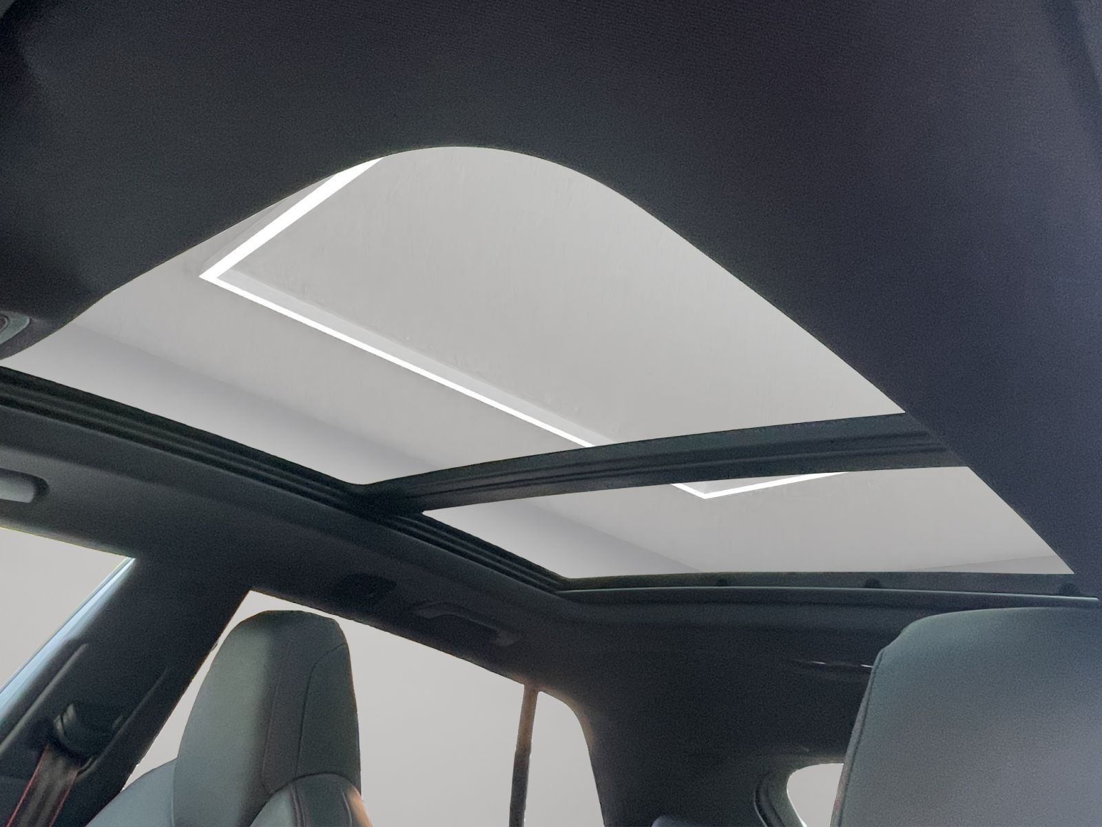 Audi RSQ8 - Bild 22