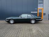 Jaguar XJS 6.0V12  1996 Sehr Selten - Jaguar XJS Gebrauchtwagen