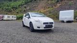 Fiat Punto *Zahnriemen NEU*TÜV bis 09/26* - gebrauchte Fiat Punto aus dem Jahr 2009