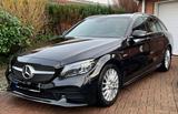 Mercedes-Benz C 200 T Autom. -AMG Line, Panoramadach, AHK - Mercedes-Benz C 200 in Wiesbaden
