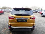 Ford EcoSport Titanium X - Ford EcoSport mit Panoramadach