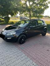 Fiat Punto Evo - Alles neu ! - Fiat Punto Evo in Frankfurt (Main)