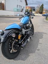 Yamaha XV950 Racer / Cafe Racer / Chopper  - YAMAHA CAFE RACER