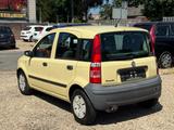Fiat Panda 1.2 8V Dynamic - Fiat Panda Gebrauchtwagen in Mönchengladbach