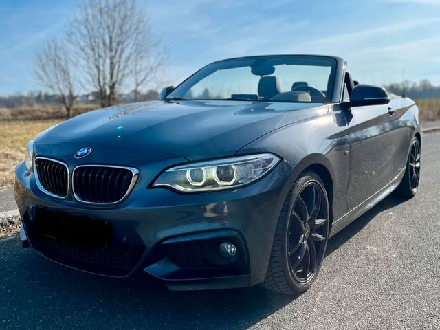 BMW 220i M Sport Cabrio Navi Prof/LED/Kamera/AHK