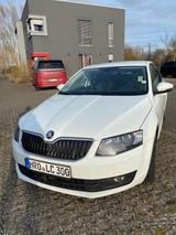 Skoda Octavia 1.6 TDI Style Style - Skoda Octavia mit Diesel-Antrieb: Limousine, 1.6