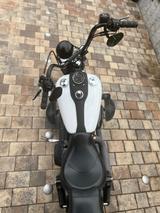 Harley-Davidson FXDB DYNA STREET BOB - HARLEY-DAVIDSON FXDB