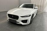 Jaguar XE P250 R-Dynamic SE*Panorama*Winter-Paket* - weiße Jaguar XE