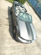 Ford US Car Mustang V6 Cabrio - Ford Mustang aus 2006