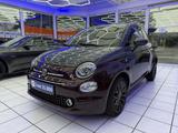 Fiat 500 1.2 8V Collezione - Fiat 500 Collezione mit Benzin-Antrieb