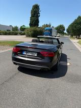 Audi S5 3.0 TFSI S tronic quattro Cabriolet - - Audi S5: Leder