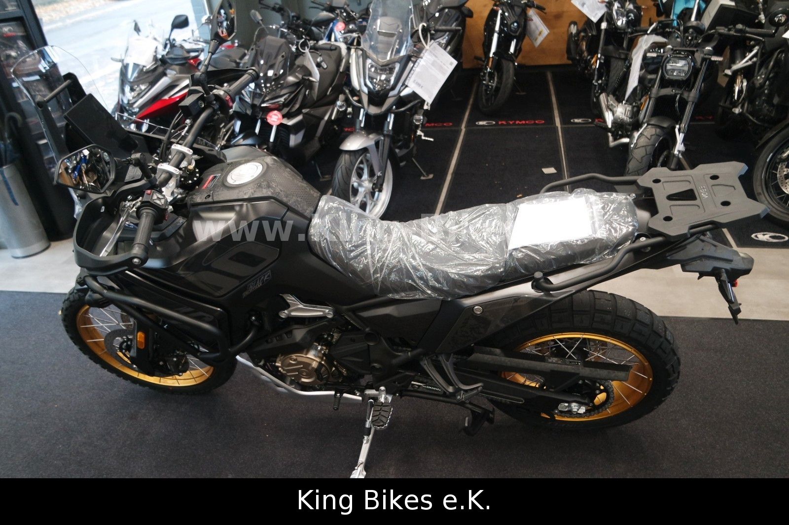 Fahrzeugabbildung VOGE 800 DS RALLY / DS800X RALLY - 3 Jahre Garantie