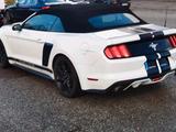 Ford Mustang Ein Hingucker - Ford Mustang in Solingen